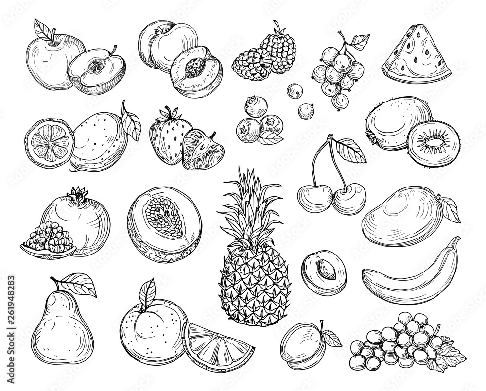Sketch fruits. Strawberry melon, peach mango. Banana pineapple, raspberry grapes hand drawn fruit berry vector set. Illustration of melon and banana, cherry and lemon - obrazy, fototapety, plakaty 