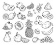 Sketch fruits. Strawberry melon, peach mango. Banana pineapple, raspberry grapes hand drawn fruit berry vector set. Illustration of melon and banana, cherry and lemon