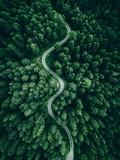 Fototapeta Las - aerial view of a forest