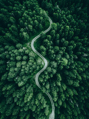 aerial view of a forest