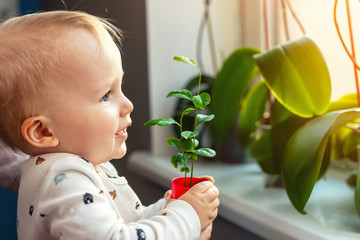 Cute little caucasian toddler boy with mother smiling and having fun holding pot with planted flower near window sill at home. Flower and nature care concept. Children and family happy childhood