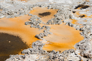 Geyser in Firehole canyon drive  in Yellowstone National Park in Wyoming