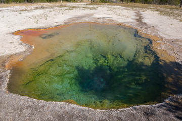 Geyser in Firehole canyon drive  in Yellowstone National Park in Wyoming