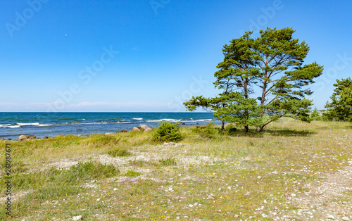 Cuadros en Lienzo The Swedish city of Visby on the island of Gotland