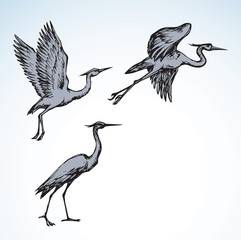 Sticker - Stork. Vector drawing