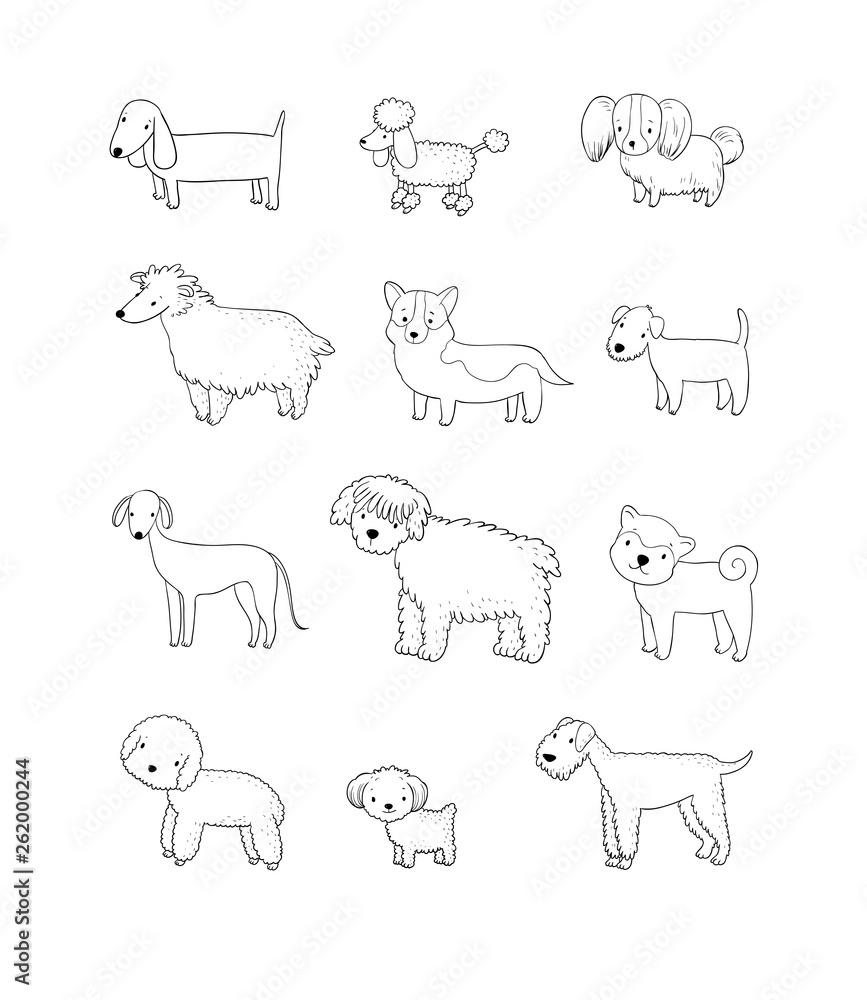 Dogs collection. Cute cartoon puppies of different breeds - Vector ...