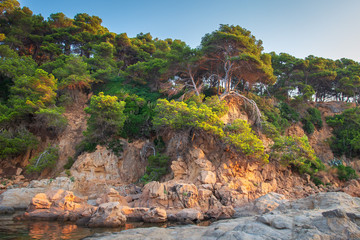 Canvas Print - Costa Brava coast on mediterranean sea beach. Rocky high shore with green forest in Spain