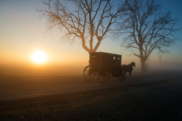 Sticker - Amish Horse and Buggy at Dawn with Sun on Horizon