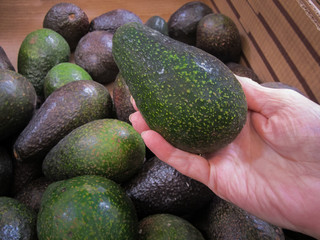 Woman selecting fresh ripe avocado at local grocery market.