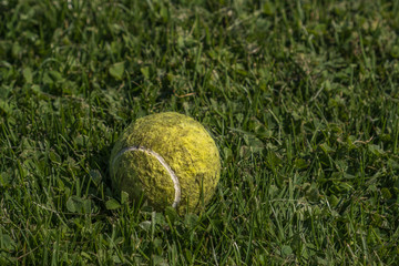 worn tennis ball on green grass. copy space.