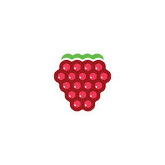 Wall Mural - raspberry logo icon vector design symbol