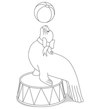 Circus Seal With A Ball For Coloring Book