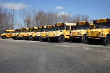 Many Yellow School Buses