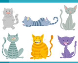 Fototapeta Koty - cats and kittens funny characters set