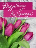 Fototapeta Tulipany - Kartka tulipany