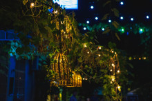 Wicker Lamps On The Summer Terrace Of The Restaurant. Canopy Overgrown With Grapes. Included Garland On The Background Of A Vine Of Grapes.