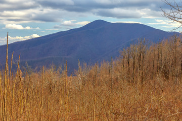 Wall Mural - View of a mountain peak from the Three Ridges overlook, located along the Blue Ridge Parkway near Wintergreen Resort, Virginia