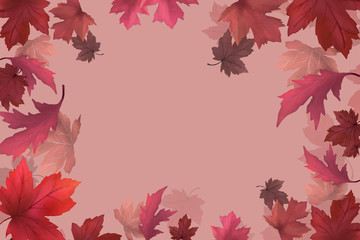 Wall Mural - autumn leaves background