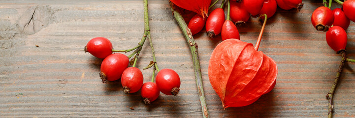 Fotomurales - Rosa canina twigs (rose hip) on wooden background