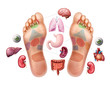 Acupuncture foot soles