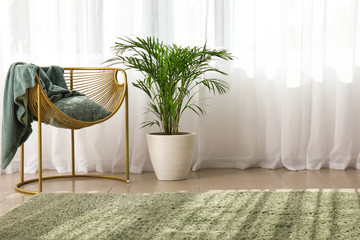 Green palm with armchair near window in room