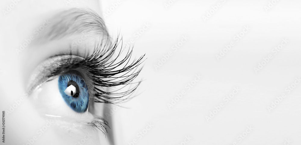 Female eye with long eyelashes close-up - obrazy, fototapety, plakaty 