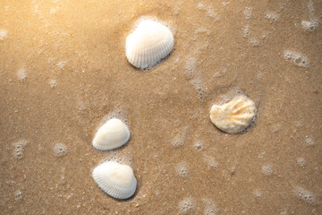 sea wave with bubbles on the sand beach