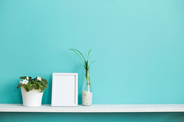 Modern room decoration with Picture frame mockup. White shelf against pastel turquoise wall with spider plant cuttings in water and violet.