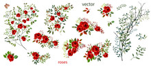 Vector. Wreaths.  Botanical Collection Of Wild And Garden Plants. Set: Leaves, Flowers, Branches, Red Roses,floral Arrangements, Natural Elements.