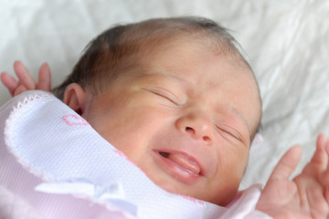 Wall Mural - Newborn girl sleeping in the cradle