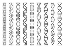 Seamless DNA Spiral. Adn Helix Structure, Genomic Model And Human Genetics Code Pattern Vector Illustration Set