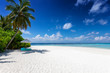 Panorama eines tropischen Paradies Strandes mit Kokosnusspalmen, feinem Sand und türkisem Meer