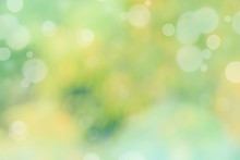 Abstract Defocused Nature Background With Green And Yellow Bokeh