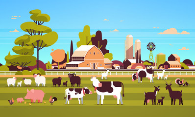 farm animals grazing cow goat pig turkey sheep chicken different domestic animals breeding farming concept flat farmland barn countryside landscape flat horizontal