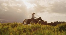 Amazing Slow Motion Horseback Riding At Sunset, Cowgirl Riding Fast Through Green Fields, Horse Galloping