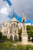 Fototapeta Paryż - Notre Dame Cathedral in Paris