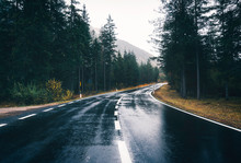 Road In The Spring Forest In Rain. Perfect Asphalt Mountain Road In Overcast Rainy Day. Roadway With Reflection And Pine Trees. Vintage Style.  Transportation. Empty Highway In Foggy Woodland. Travel
