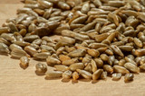 Fototapeta Sawanna - Pile of roasted and salted sunflower seeds
