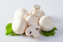 White Champignon Mushrooms On White Background