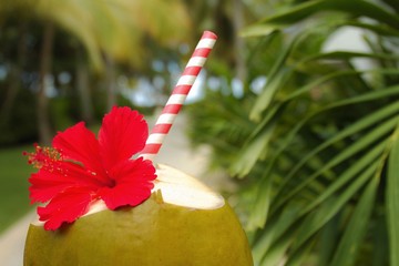 Wall Mural - Drink in coconut on the beach.