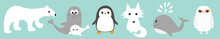 Arctic Polar Animal Set Line. White Bear, Owl, Penguin, Seal Pup Baby Harp Sea Lion Fox Wolf Whale Albatross Seagall. Kids Education Cards Cute Cartoon Character Blue Background Flat Design