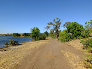 Poster - Botswana, Africa, Safari