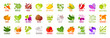 Big set of vegetables nuts herbs spice condiment icons isolated on white background. Colorful leaves lettering. Concept graphic vector element.
