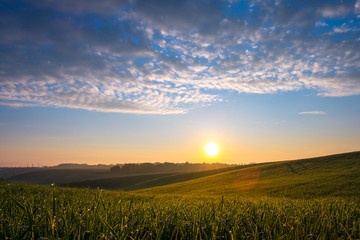 sunset over green field