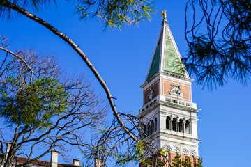 Wall Mural - A glimpse of St Mark's Campanile in Venice through a tree