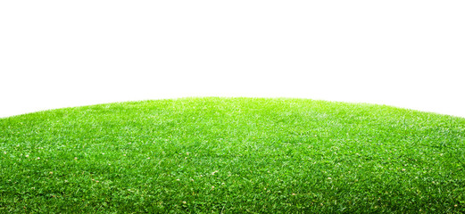 Wall Mural - a green grass isolated background