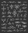 Vintage flourishes and calligraphic elements vector set. Hand drawn swirls collection