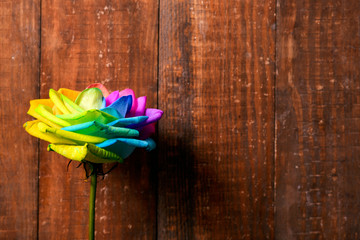 Sticker - rainbow rose on a wooden surface.