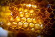 © Theodosis Georgiadis - Honeycomb with honey