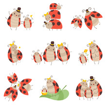 Cute Happy Ladybug Family Set, Cheerful Mother, Father And Their Babies, Adorable Cartoon Insects Characters Vector Illustration